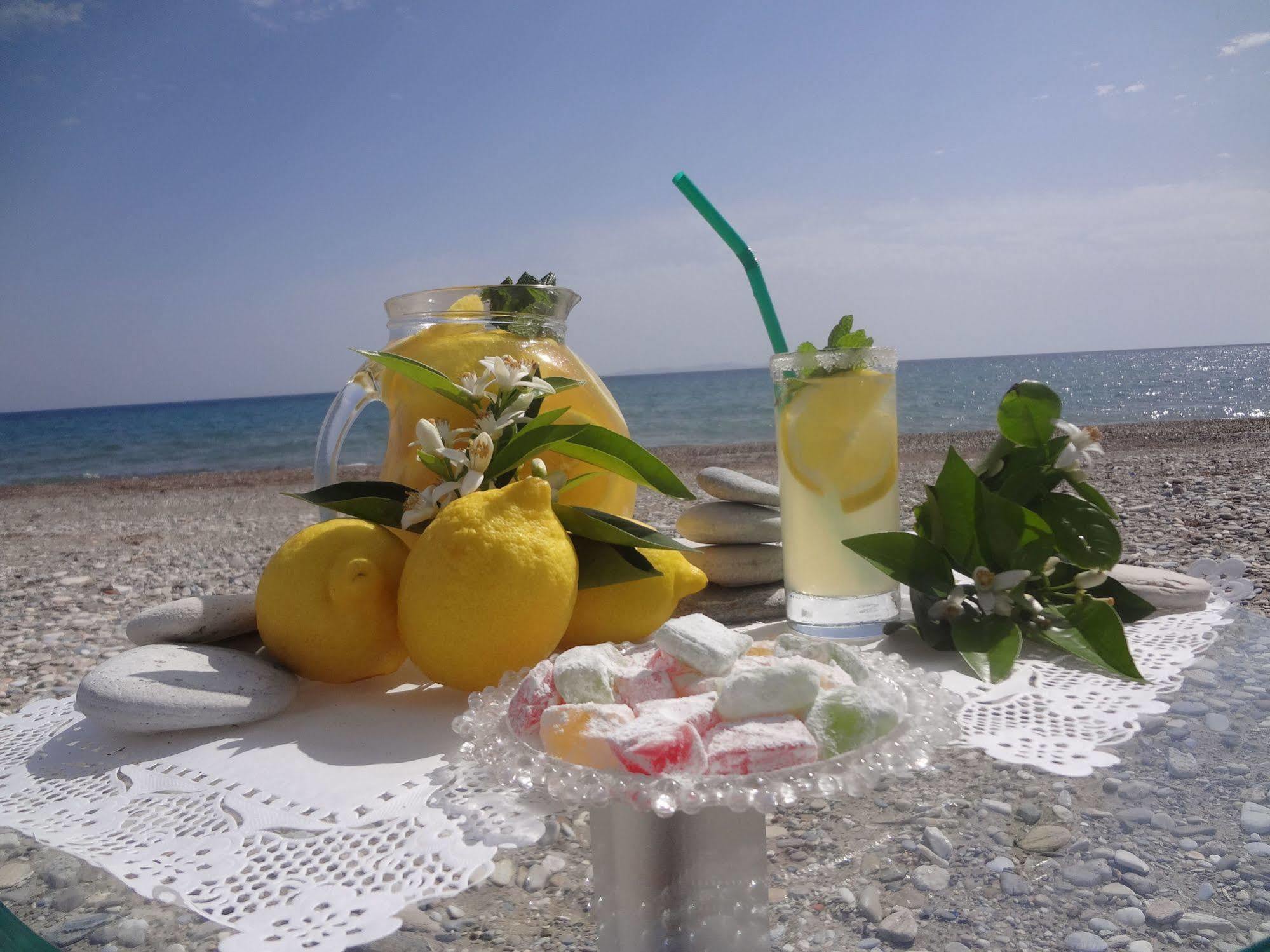 Fito Aqua Bleu Resort 毕达哥利翁 外观 照片